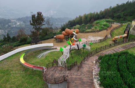 温州文成县九龙山茶趣乐园